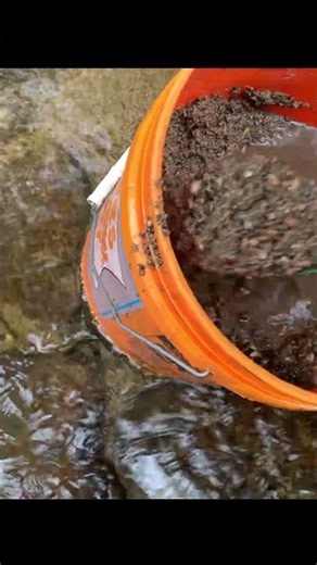 How's it Running? What do you think? #goldprospecting #sluicebox