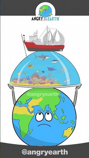 World Oceans Day #protectouroceans
