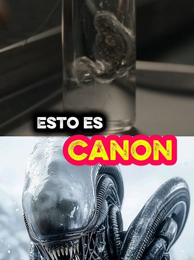 Atrapa caras en la serie de Alien Earth #Bernak #freakworldmx #AlienEarth #Xenomorfo #Alien