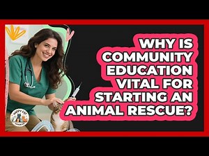 Why Is Community Education Vital For Starting An Animal Rescue? - Animal Care Jobs
