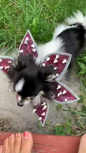 DIY Demodog Costume Tutorial