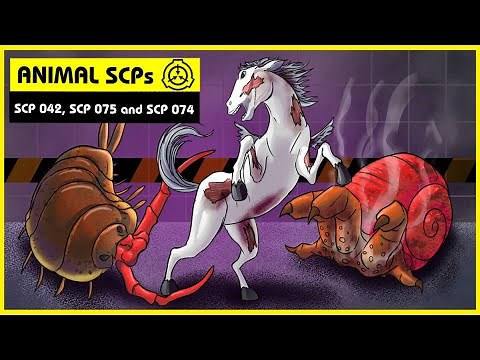 Animal SCPs (SCP Orientation Compilation)