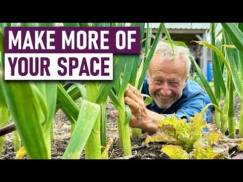 Spacing Plants Efficiently and Effectively with Charles Dowding