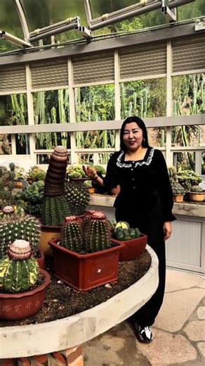 #@张妞妞 走进仙人掌世界 # #打卡厦门园林植物园！一走进沙生植物区，就被满室的巨型仙人掌狠狠震撼到了。高低错落的仙人柱、圆滚滚的仙人球，还有各种叫不上名字的多肉，像闯进了现实版的热带秘境。不用特意找机位，随手一站就是满满的夏日氛围感，连空气里都带着绿植特有的清新气息。不用去遥远的沙漠，在厦门就能解锁同款热带大片！#仙人球世界 位置．夏门市．园林植物园
