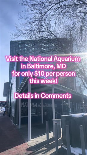 From February 1st-10th Maryland Residents can get $10 per person tickets at the National Aquarium in Baltimore Maryland! The aquarium is part of Downtown Discovery Days, making it affordable for all to visit! Google “National Aquarium Downtown Discovery Days” OR Copy and paste this link: https://aqua.org/visit/special-events/2026-downtown-discovery-days YOU MUST pre-register for this special deal, in order to claim it and pay for them BEFORE you arrive at the aquarium. #baltimore #baltimoretikto