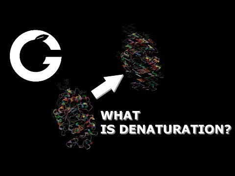 Enzymes - Denaturation and Activation Energy