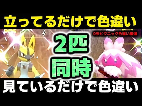 【放置】見てるだけ「ルカリオ」と「デカヌチャン」 を楽に色違い厳選する方法 0歩 半自動 大量発生不要 リオル ナカヌチャン ポケモンSV ポケモンスカーレットバイオレット スカバイ