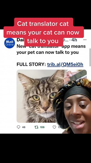 Translate Your Cat's Sounds with Cat Translator App