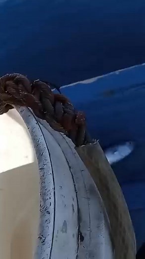 Penjaga rompon laut lepas💪 #jangkauanluas #interaksi #reelsfyp #bonus #reelsviral #pengikutfbpro #monet | Kaligis Bawowo Frensis