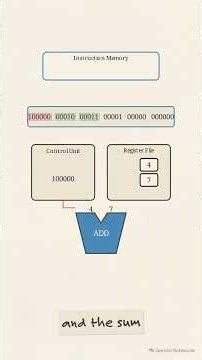 How CPUs Actually Do Math inside your computers?