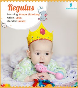 Regulus Name Meaning And History: Key Insights Explained