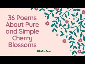 36 Poems About Pure and Simple Cherry Blossoms | OZoFe.Com