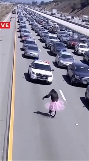 71K views · 777 reactions | This chimp caught on news! | Chris & Che Media | Facebook