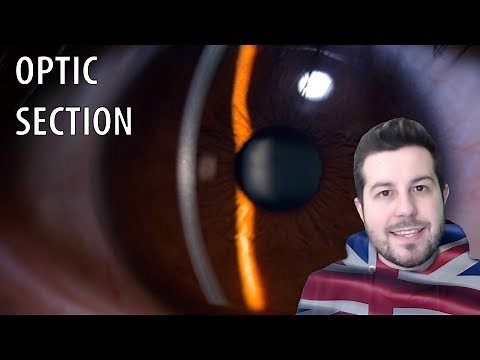 Optic Section : Slit Lamp Techniques #1 [ENG]