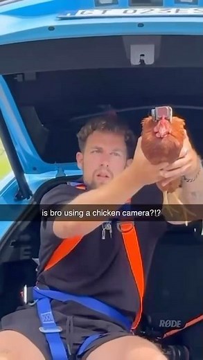 Chicken Used As A Gimbal