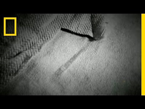 Shroud Forging? | Secrets of the Shroud