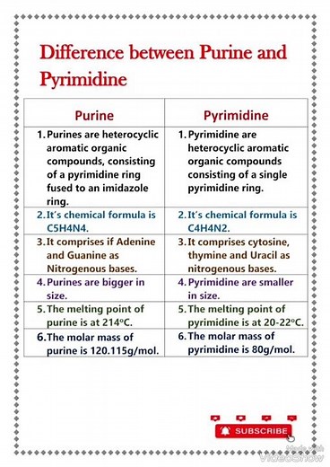 Difference between purine and pyrimidine