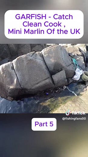 Garfish Catch, Clean, and Cook: A UK Seafood Adventure