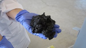 Biofuel made from human excrement has become easier to produce