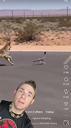 Real life Wile E. Coyote?? I’ve had a TON of people send me this one, and it has 45 MILLION views! Most of those views are people thinking this is real! There are a few tells I go over in the video, also the roadrunner’s gait and posture don’t match how real roadrunners move, real ones often lower their heads and have more bounce, whereas in the clip the body stays unnaturally level and rigid. 😂 ~~Why are ai animal videos bad? Many focus on animal attacks which create fear mongering and hatred 