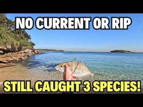 No Current? No Problem! How I Fish Quiet Botany Bay Beaches