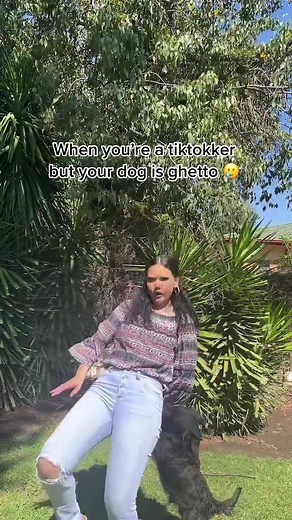 Laila and Moose: TikTok Hijinks with My Dog