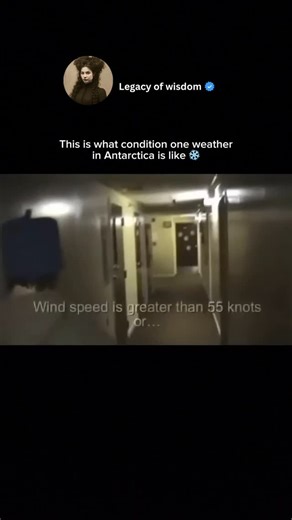 Legacy of wisdom on Instagram: "Condition One weather in Antarctica is the most extreme and dangerous level of weather. It brings brutally cold temperatures, violent winds, and near-zero visibility, making it unsafe to go outside. In these conditions, exposed skin can go numb within seconds, and the air feels sharp and heavy to breathe. During Condition One, all outdoor movement is stopped because survival depends on staying indoors. It’s not just bad weather—it’s Antarctica at its most powerful