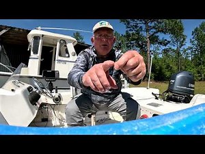 Bream Fishing using a new "WEEDLEES" Bream hooks