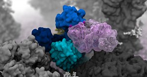 Computer Model of Influenza Virus Shows Universal Vaccine Promise
