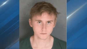 'It's unusual': Man accused of killing mother found not guilty by reason of insanity