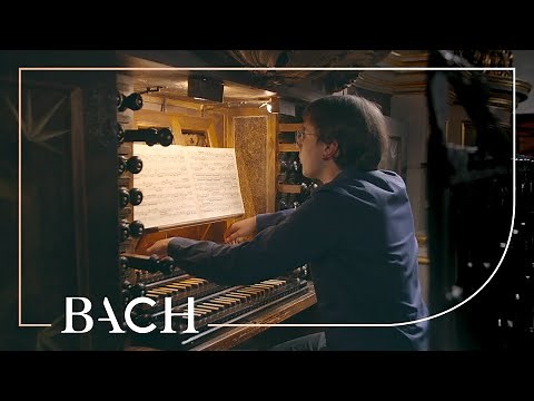 Bach - Duetto no. 1 in E minor BWV 802 - Seeger | Netherlands Bach Society