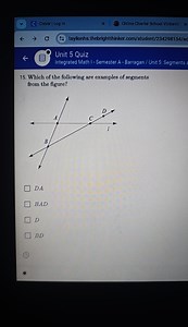Which of the following are examples of segments from the figure... | Filo