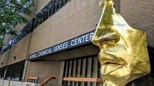 Lost your sense of taste or smell? Researchers in Philadelphia want to talk to you