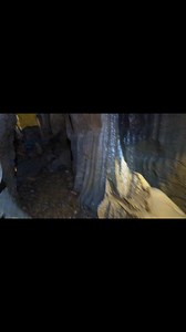 5.4K views · 160 reactions | Did you know Raccoon Mountain Caverns in Tennessee is home to some incredible fossils? Check out these ancient wonders hidden beneath the surface. | TAG Caver | Facebook