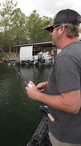 128K views · 1.3K reactions | Matt Arey walks through his key tip for how to approach a laydown in our most recent video on flipping and pitching laydowns. To watch the full video, click here: https://bit.ly/4l0V4c5 | Bass Pro Shops | Facebook