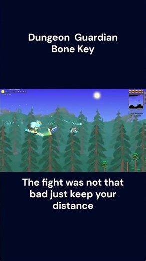Dungeon Guardian Fight Bone Key #gaming #terraria #skeletron #bossfight