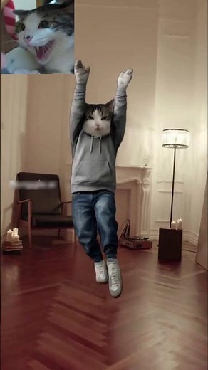 Ultimate Model Walk! 🐱✨ Can you handle this catwalk?