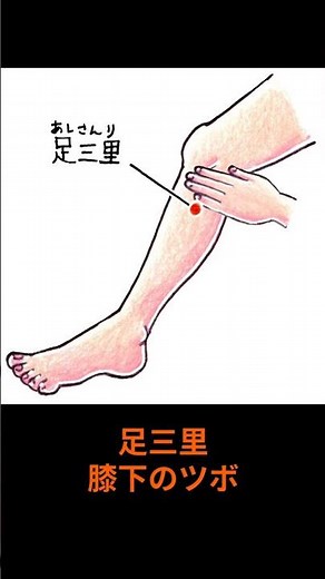 【自律神経を整えるツボ】〜足三里
