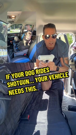 Freshen up your vehicle, dog beds, couches, carpets, rugs, and pet areas with the GeniKiss Nano Gun. Portable, rechargeable, and easy to use with a nano mist spray and built-in blue light design for that fresh-clean feel. #PetTok #DogDad #CarCleaning #PetOdor #TikTokMadeMeBuyIt @GeniKiss US