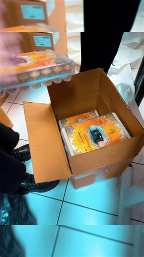 Vidéos de Rabbi Raphaël Pinto officiel (@rabbiraphaelpinto) avec Lights Are On - Instrumental - Edith Whiskers