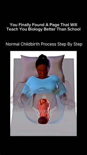 Explaining Biology | 🌸 Normal Childbirth Process – Step by Step 🌸 1️⃣ Early Labor – Mild contractions begin, cervix opens slowly 2️⃣ Active Labor – Stronger... | Instagram
