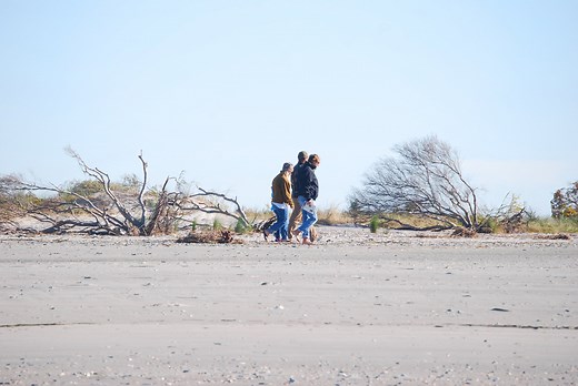 Fossil and Shark Tooth Hunting Tours - Charleston Outdoor Adventures
