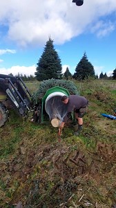 21M views · 47K reactions | Tree harvest and sales staff required . Suited to local person. Great job in the Christmas trees and great team. Must be fit and active  Work in all weathers #Startvstraightvaway Any questions 07811949239 What's app or call  | Gower Fresh Christmas Trees | Facebook