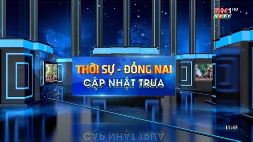 越南 同奈省报业及广播电视机构 ĐNNRTV1 播出《同奈新闻·午间快讯》过程 20250928/30