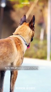 The Dog Owner Who Ignored Her Child! Part 1 | MovieDrama43