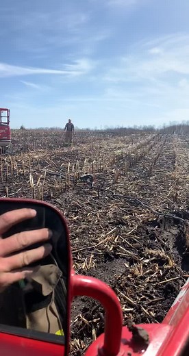 Firefighter Inspects Burnt Field After Wildfire
