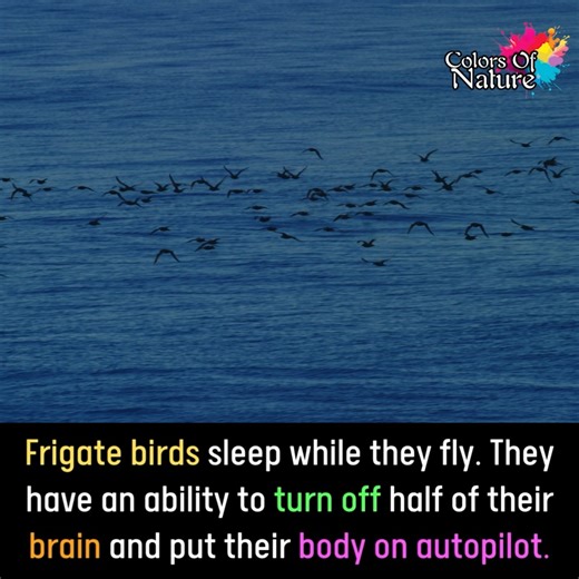 162K views · 10K reactions | Colors Of Nature on Reels | Facebook