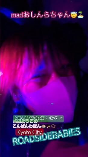 madおしんらちゃんはねむれません😇🏝️なにをしようかなあ#丑三つどき📿2026年5月23日土曜日2時44ｯﾌﾟﾝ#国土人天ノ善悪#帰命無量寿如来#南無不可思議光#法蔵菩薩因位時#在世自在王仏所