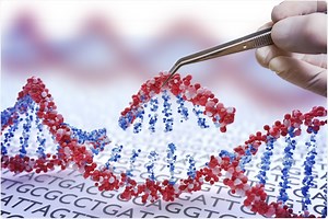 An Insider’s Guide to the chemagic™ Prime™ Junior Instrument