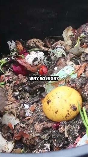Compost Secret Big AG Don't Want You To Know| Seedly 🌱 #composting #humus #soilhealth